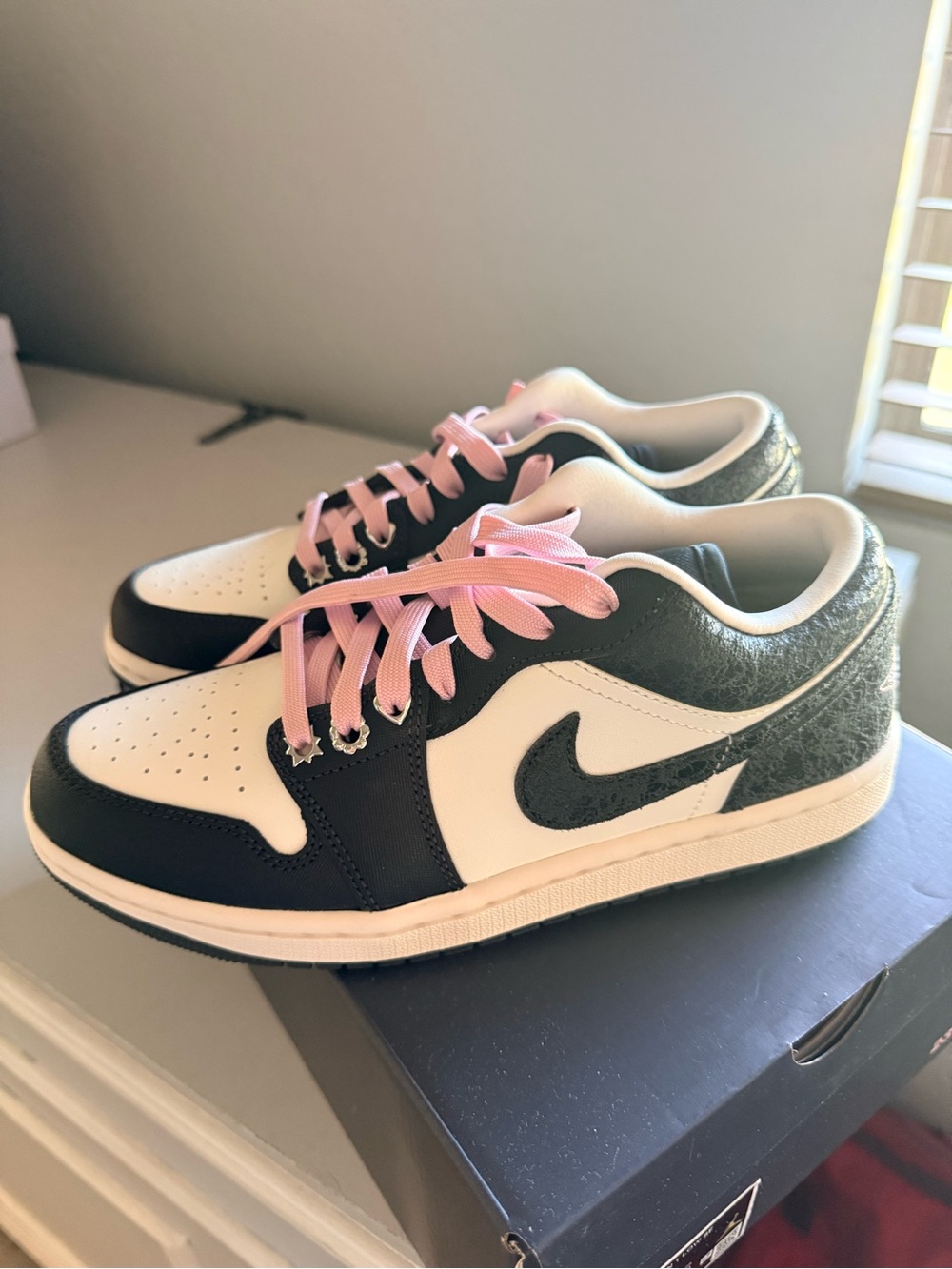 Jordan WMNS Air Jordan 1 Low SE in Anthracite & Iced Carmine
